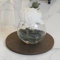 Halo Collection - 1 Small Tray