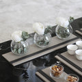 Tova Collection - 1 Long Tray